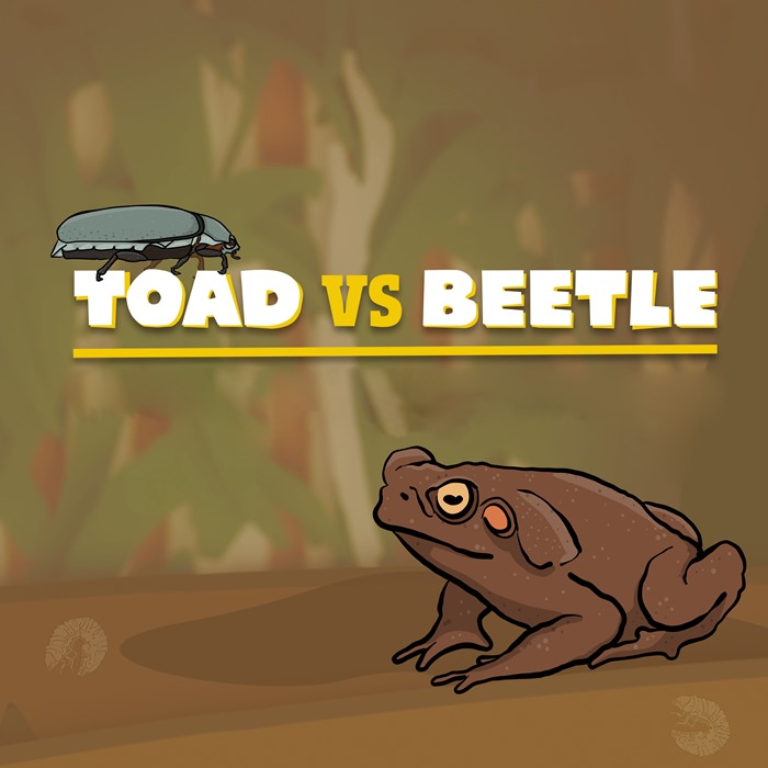 Toad v's Beetle Touring Exhibition