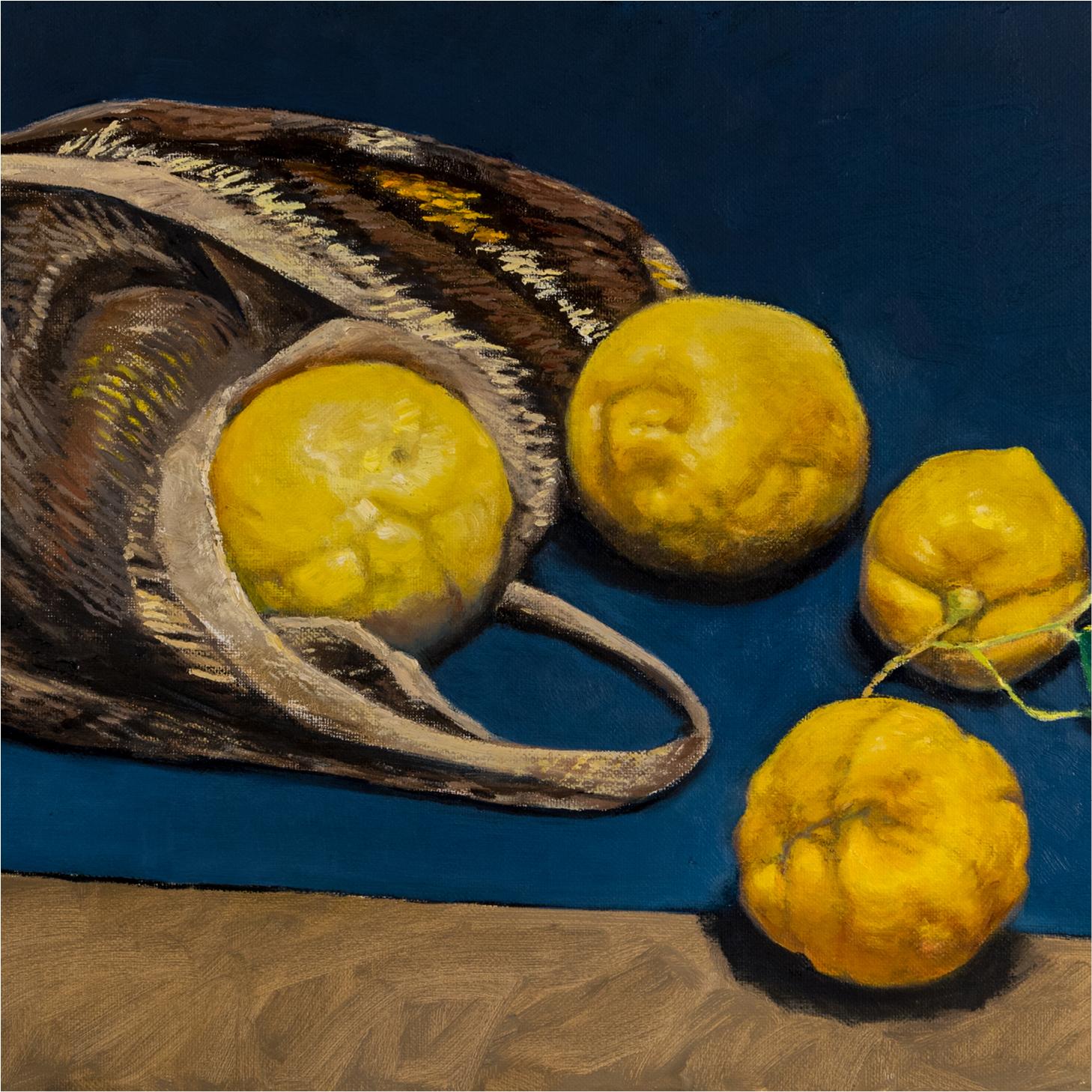 Unlemon – a meandering tale of citrus by Alison Mitchell  